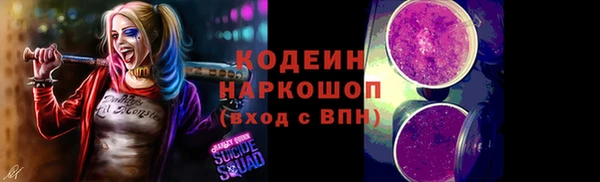 соль ск Арсеньев
