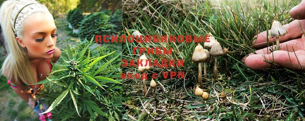 соль ск Арсеньев
