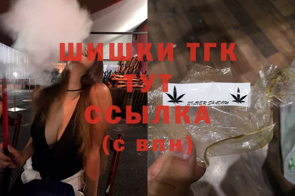 соль ск Арсеньев