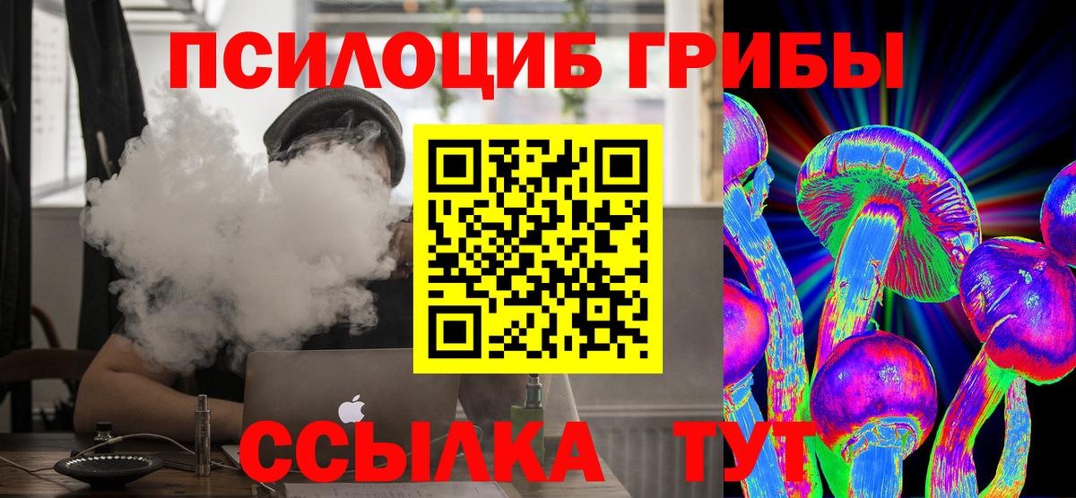 Всеволожск  Псилоцибиновые грибы Psilocybe  Вход с VPN 